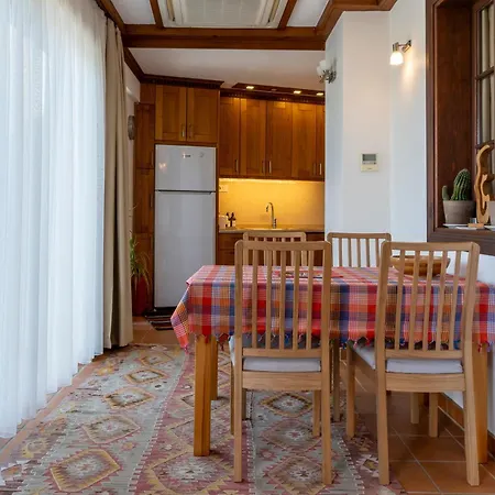 爱奥尼亚豪斯酒店 度假居 塞尔丘克