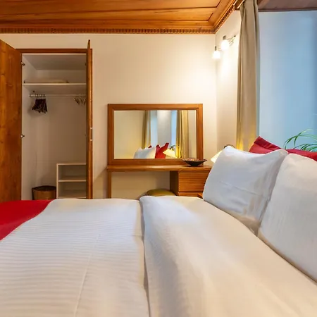 爱奥尼亚豪斯酒店 度假居 *