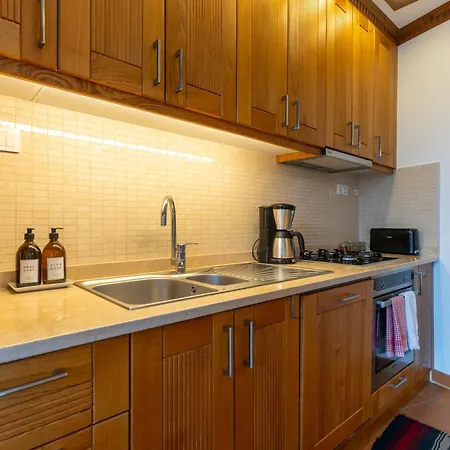 爱奥尼亚豪斯酒店 度假居 塞尔丘克