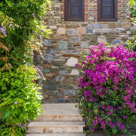 爱奥尼亚豪斯酒店 *