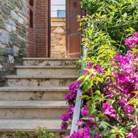 Ionia House * סלצ'וק