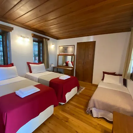 爱奥尼亚豪斯酒店 * 塞尔丘克