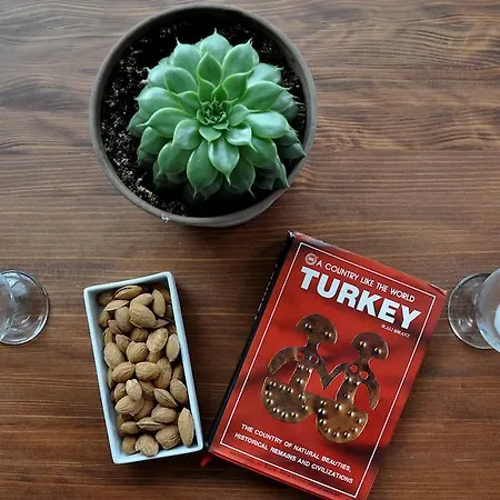 בית נופש Ionia House סלצ'וק