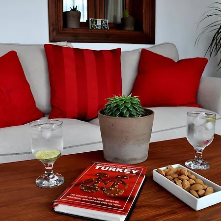 בית נופש Ionia House