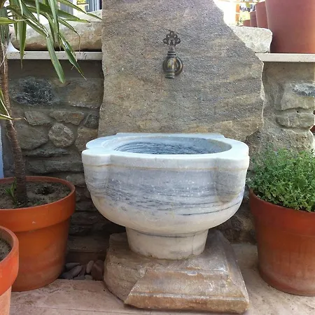 בית נופש Ionia House סלצ'וק