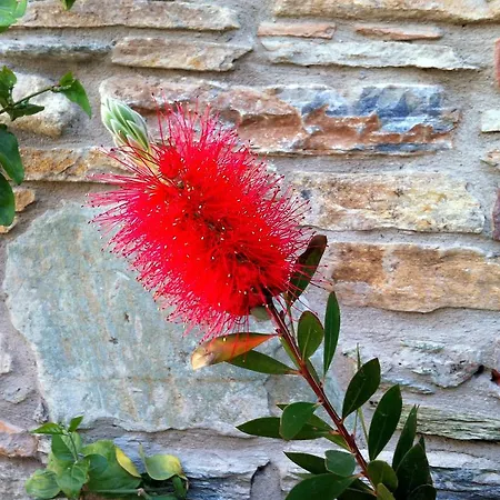 爱奥尼亚豪斯酒店