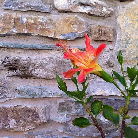 Vakantiehuis Ionia House