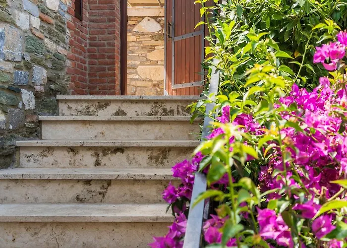 Ionia House * Σελτσούκ