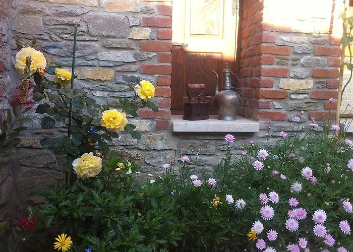 Ionia House Σελτσούκ