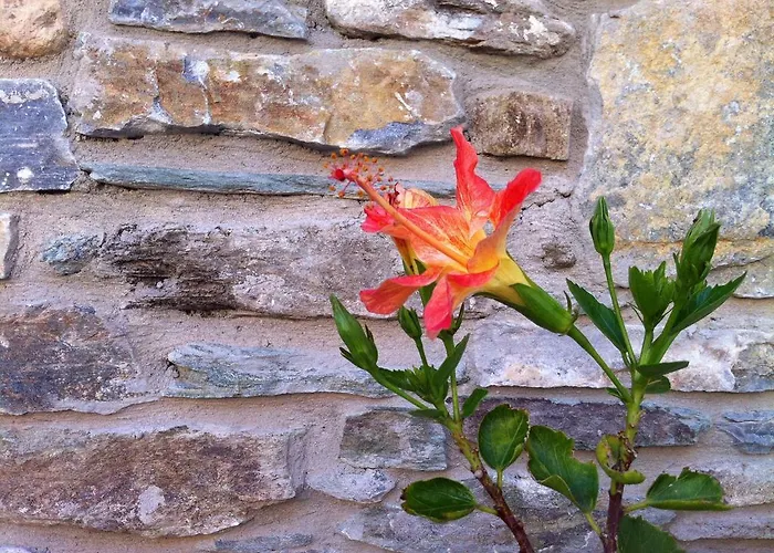 Σπίτι διακοπών Ionia House